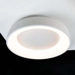 Coral Flush Ceiling Light White