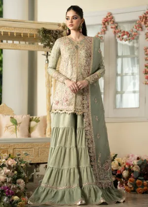 Dilnaaz Wedding Formals 2023 by Qalamkar | DN-06 - FARIZA