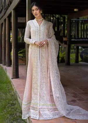 Roohi Luxury Formal Collection '24 by Mushq | ANIKA