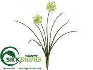 Silk Plants Direct Allium Bush - Cream - Pack of 24